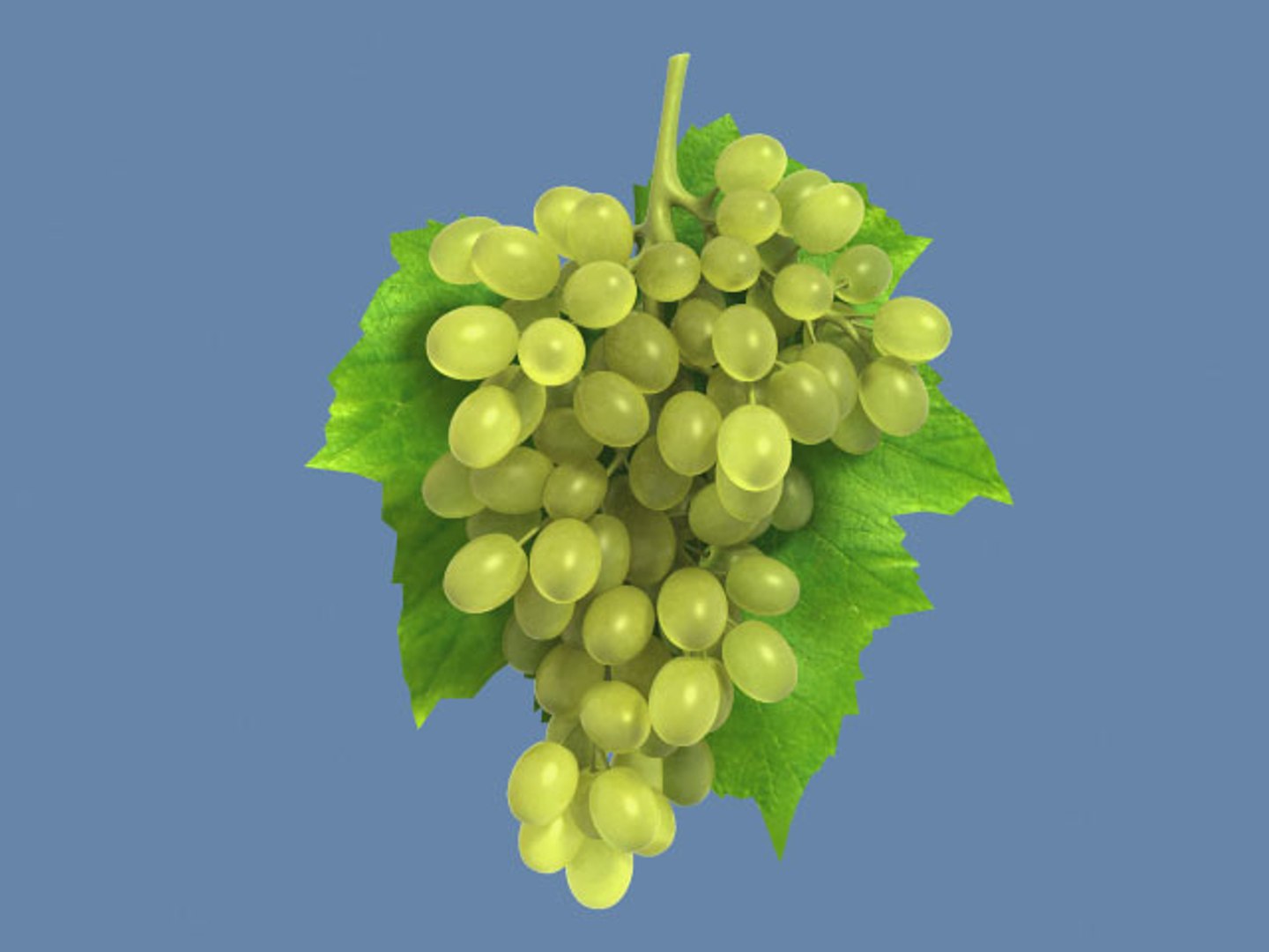 Grapes Model - TurboSquid 489202