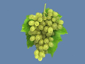 grapes_max