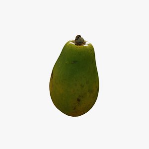 Anydrafts Carica papaya 02 3D model
