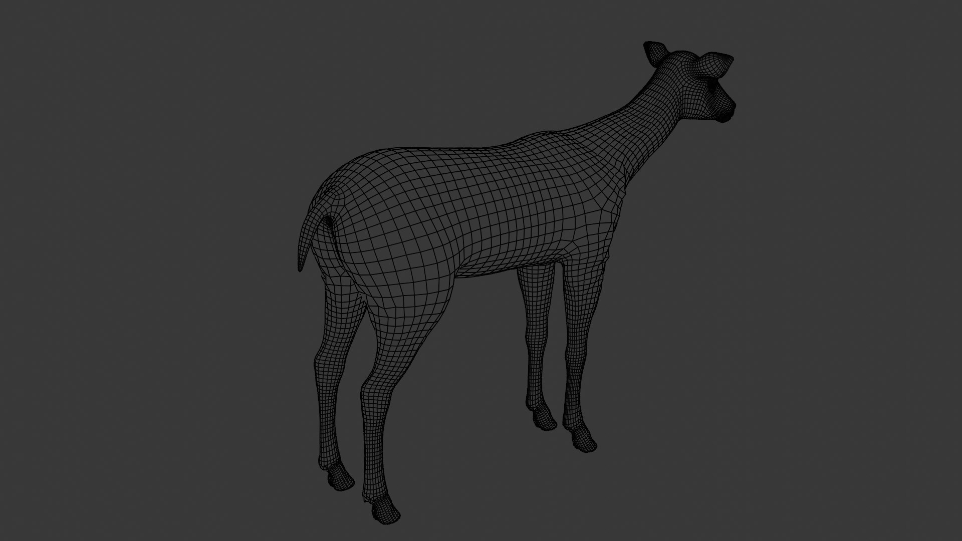 3D Young Fawn Premium Low-poly model https://p.turbosquid.com/ts-thumb/by/0P8V4D/EQ/30/png/1755276196/1920x1080/fit_q87/ceed02cec5d47b30535d0870f29fa86d2bfd29a1/30.jpg