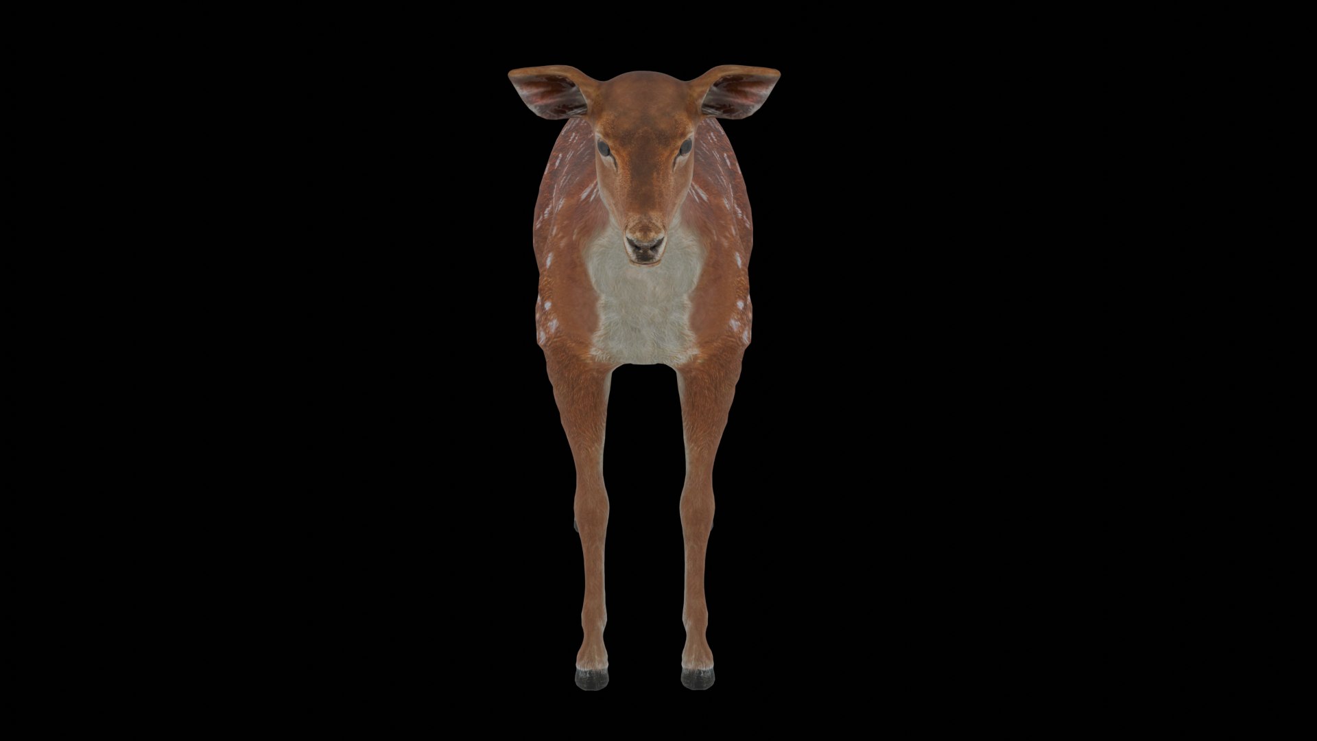 3D Young Fawn Premium Low-poly model https://p.turbosquid.com/ts-thumb/by/0P8V4D/Hj/11/png/1755276187/1920x1080/fit_q87/6a2c192debe37735439b2e8b1b814781b3bec963/11.jpg