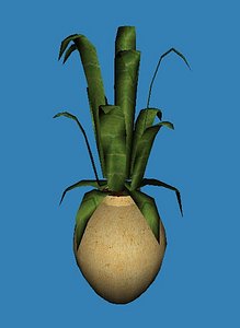 3d contemporary potted aloe plant model