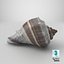 Crown Conch - 3D Scanned