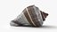 Crown Conch - 3D Scanned