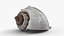 Crown Conch - 3D Scanned