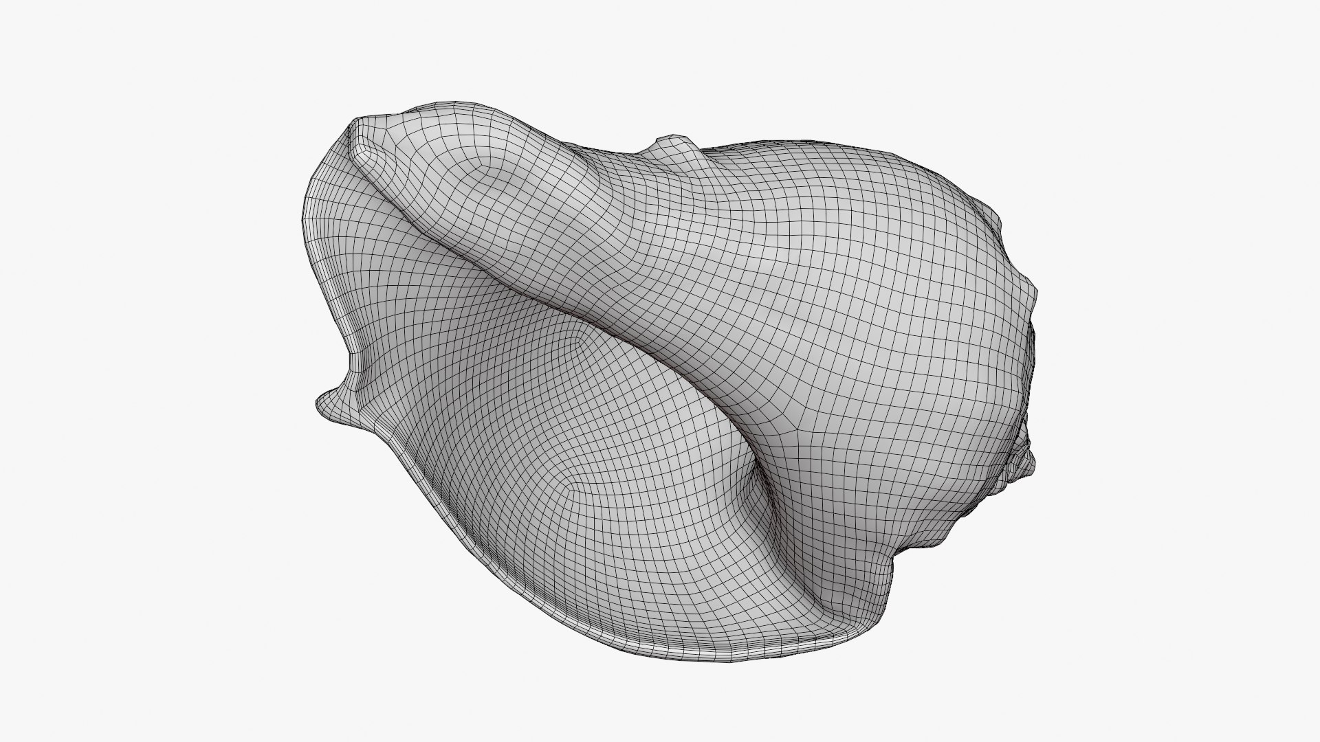 3D Crown Conch - 3D Scanned https://p.turbosquid.com/ts-thumb/by/Ewrd5N/Ha/crownconch_d0009/png/1783439998/1920x1080/fit_q87/d28d1d42e6dfae781afda168c6a49559fc475afe/crownconch_d0009.jpg