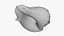 Crown Conch - 3D Scanned
