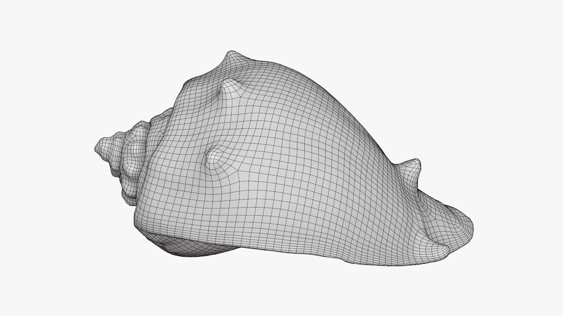 3D Crown Conch - 3D Scanned https://p.turbosquid.com/ts-thumb/by/Ewrd5N/Hs/crownconch_d0006/png/1783439995/1920x1080/fit_q87/d4915ec5891340600953e537edb2bd12e2c47eff/crownconch_d0006.jpg