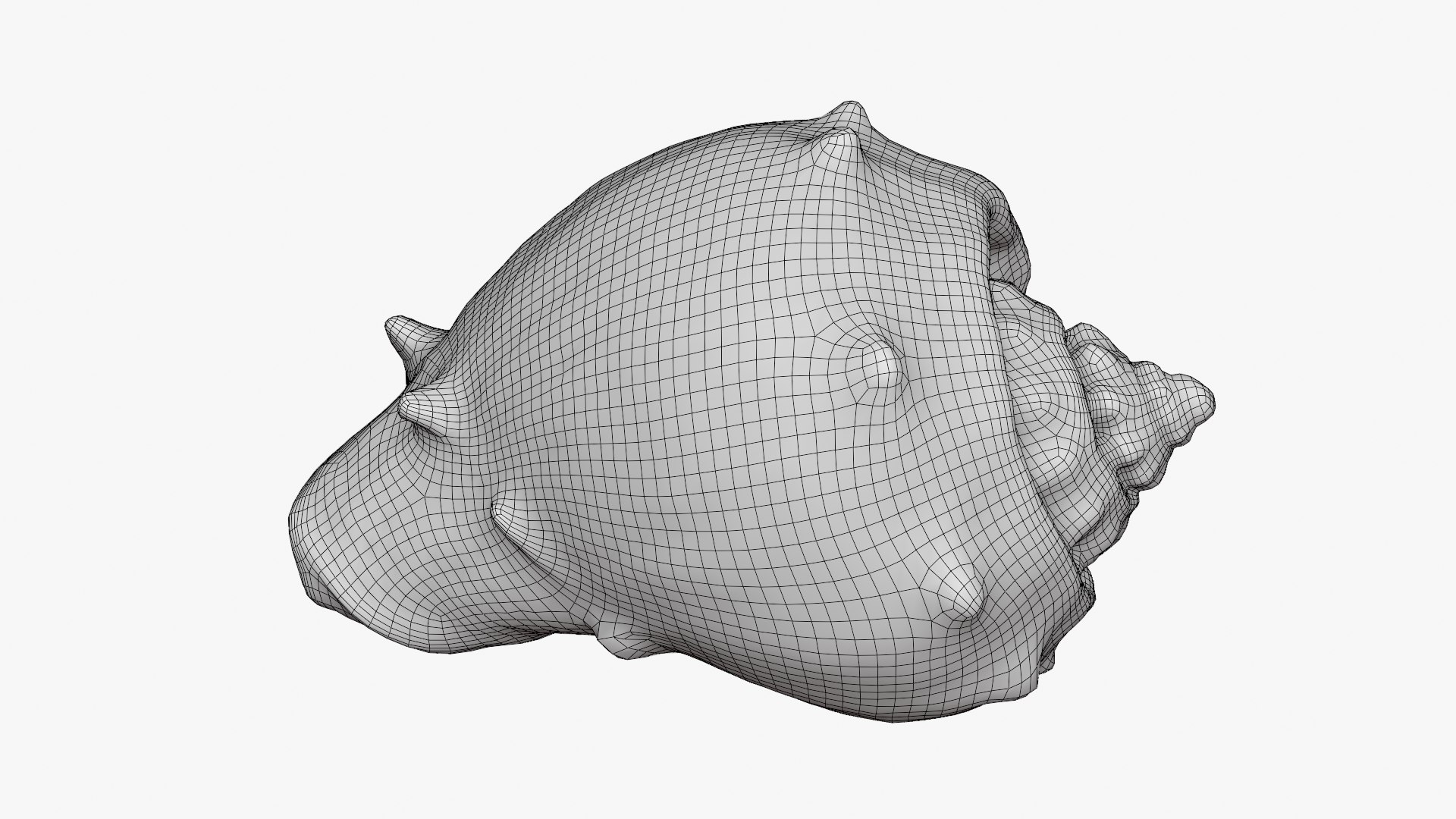 3D Crown Conch - 3D Scanned https://p.turbosquid.com/ts-thumb/by/Ewrd5N/Ya/crownconch_d0007/png/1783439996/1920x1080/fit_q87/637eccd450cadea1eb3a2737961eaceaf95c6d01/crownconch_d0007.jpg