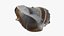 Crown Conch - 3D Scanned