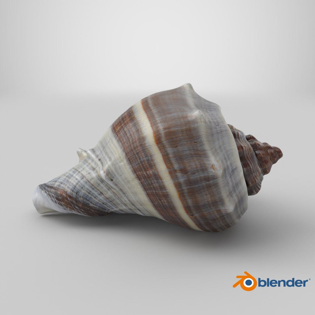 3D Crown Conch - 3D Scanned https://p.turbosquid.com/ts-thumb/by/Ewrd5N/da/stemcell_blender_cycles_render/png/1784125081/1920x1080/fit_q87/b090de7d96777d792995e4226a5a241a471c6088/stemcell_blender_cycles_render.jpg