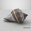 Crown Conch - 3D Scanned