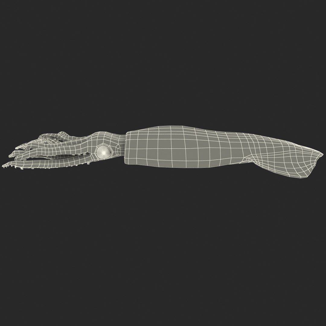 Fresh Squid 3d Model