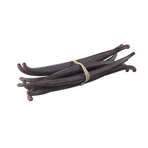 Vanilla Sticks Bunch v1 3D