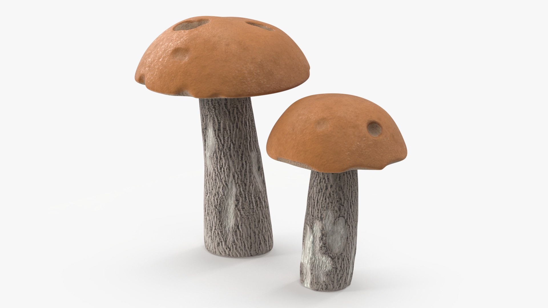 Brown Cap Boletus 3D model preview
