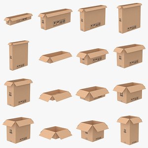3D Cardboard Box Open Bundle model