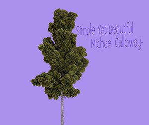 Simple Yet Beautiful Tree