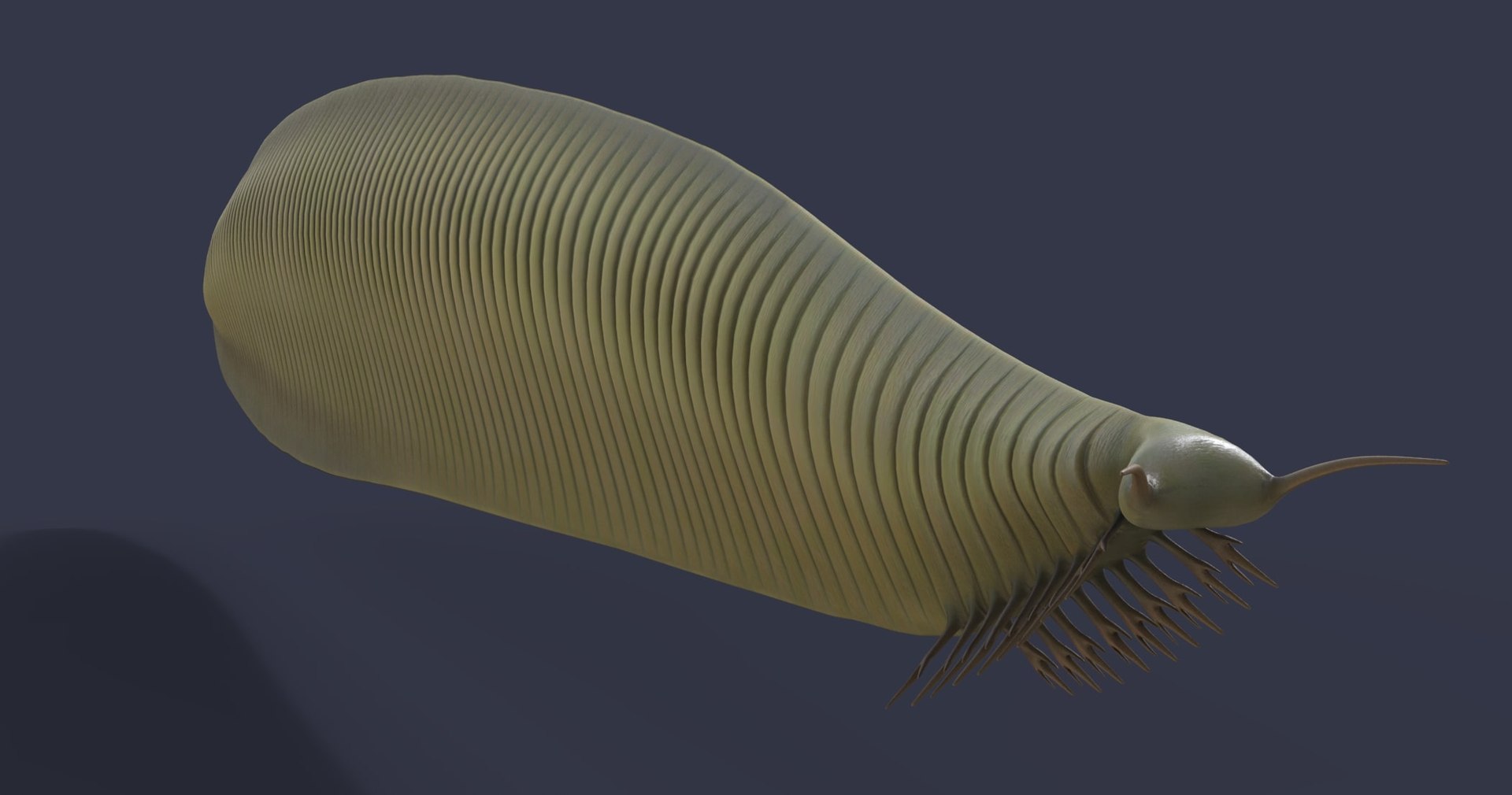 3D model dinosaur animals https://p.turbosquid.com/ts-thumb/by/UrROtG/1m/5/jpg/1611908870/1920x1080/fit_q87/f8aaacb2382299d19be8f82e24908709eb44a5cd/5.jpg
