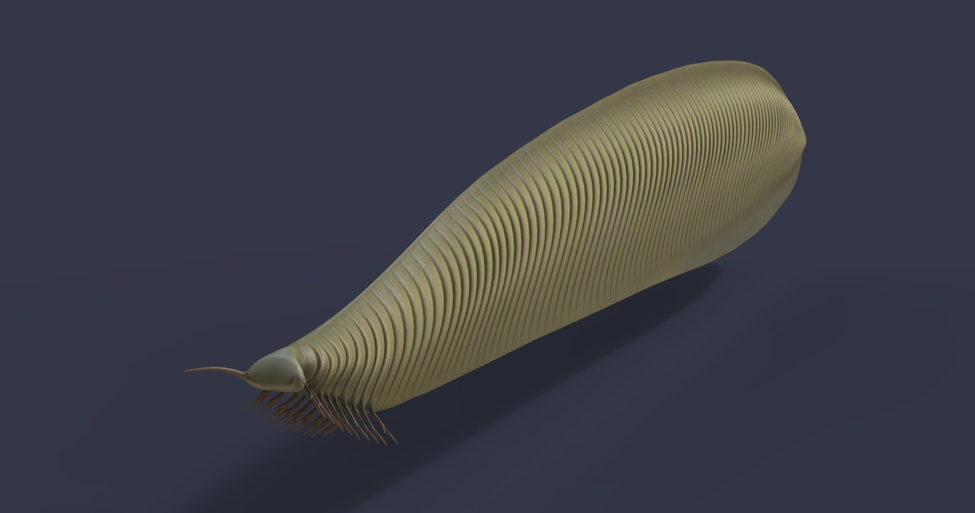3D model dinosaur animals https://p.turbosquid.com/ts-thumb/by/UrROtG/MT/3/jpg/1611908869/1920x1080/fit_q87/ee55650a780fe3e332360528ca90ed340ccb2bd6/3.jpg