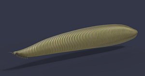 3D model dinosaur animals