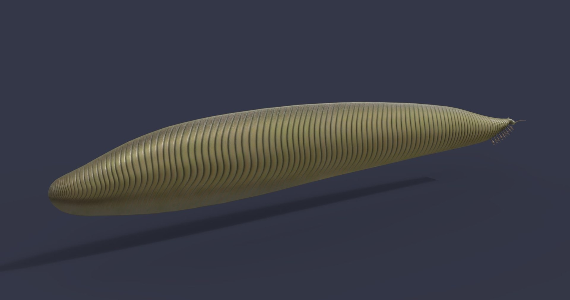 3D model dinosaur animals https://p.turbosquid.com/ts-thumb/by/UrROtG/hw/7/jpg/1611908870/1920x1080/fit_q87/05b98e7d8f1a6fc5e810964d41a312ad77f5f08b/7.jpg