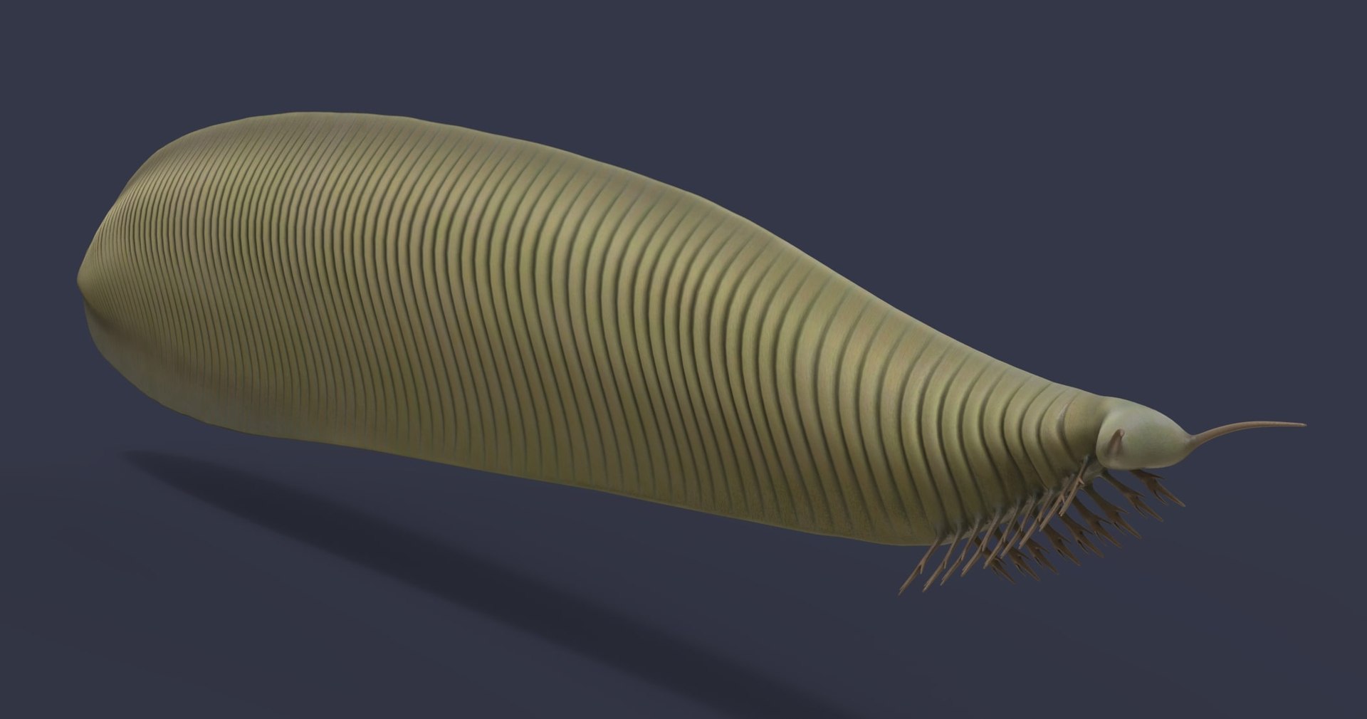 3D model dinosaur animals https://p.turbosquid.com/ts-thumb/by/UrROtG/rR/6/jpg/1611908870/1920x1080/fit_q87/24102d70303c2895d630dd033a826e9715f82d8d/6.jpg