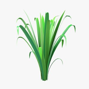 Cartoon Long Grass 06