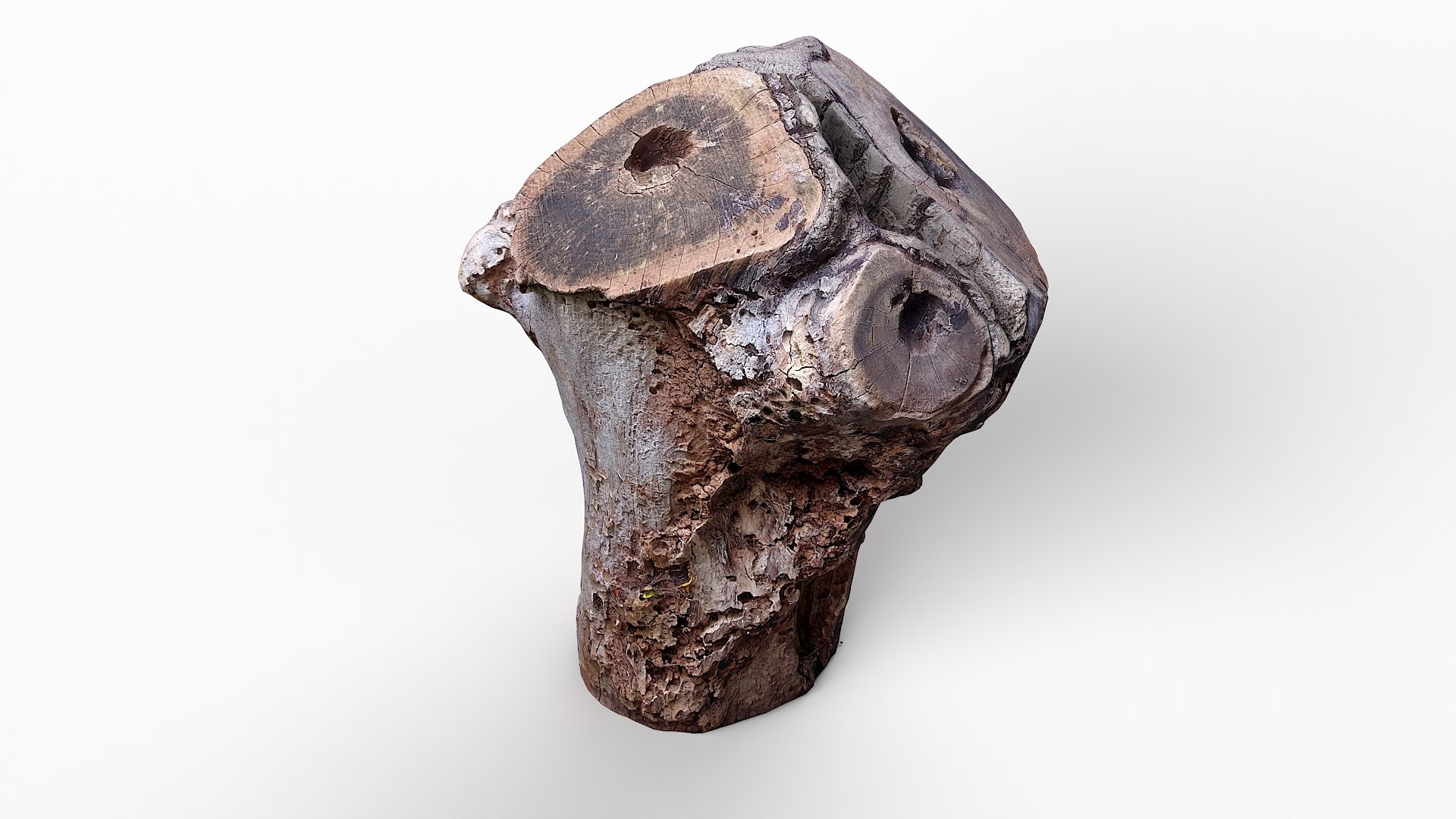 3D Tree Stump 26 https://p.turbosquid.com/ts-thumb/by/ahFdEC/0j/tree_stump26_12/jpg/1634988722/1920x1080/fit_q87/3e9801f5d9c73bd1829bc257be333bc666c9d4d6/tree_stump26_12.jpg