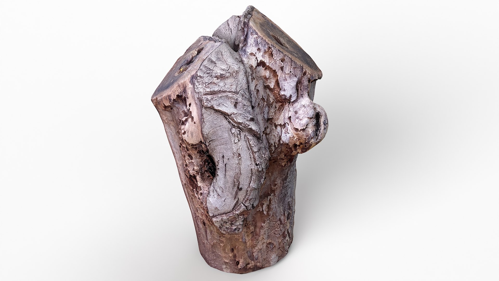 3D Tree Stump 26 https://p.turbosquid.com/ts-thumb/by/ahFdEC/gJ/tree_stump26_08/jpg/1634988718/1920x1080/fit_q87/a12570b404faa8c804c11d40ed6c8626c8b24b07/tree_stump26_08.jpg