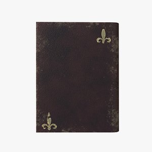 3D Antique Leather Book