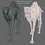 3ds max camel 01