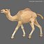 3ds max camel 01