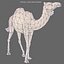 3ds max camel 01
