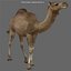 3ds max camel 01