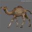 3ds max camel 01
