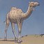 3ds max camel 01