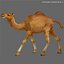 3ds max camel 01