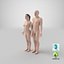 3D set male female anatomy