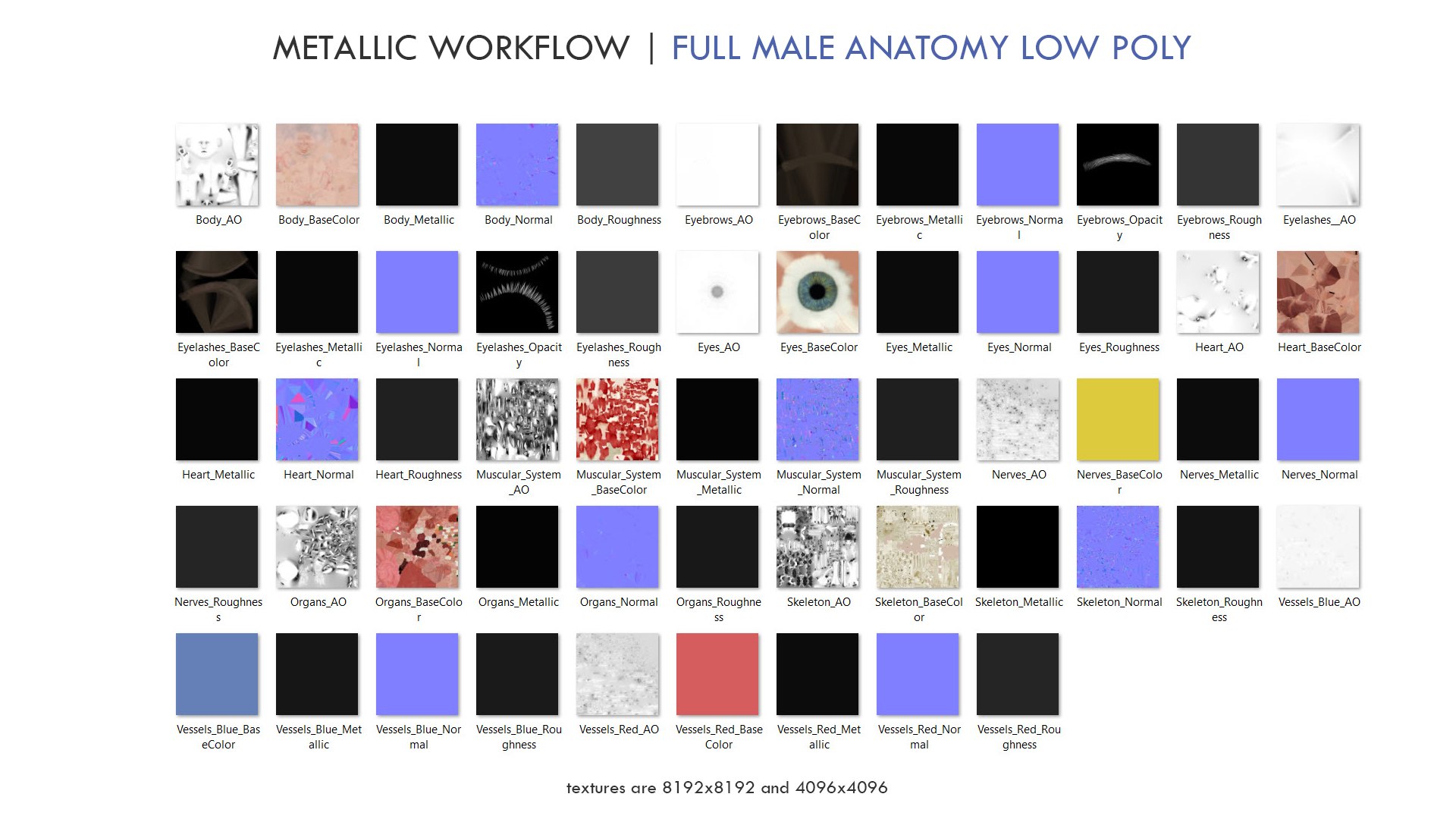 3D set male female anatomy https://p.turbosquid.com/ts-thumb/by/mB1ukj/j06MGAnf/metallic_pipeline/jpg/1583844950/1920x1080/fit_q87/3bfd58ac17dfa487873521afd04ac7b66099b5ad/metallic_pipeline.jpg