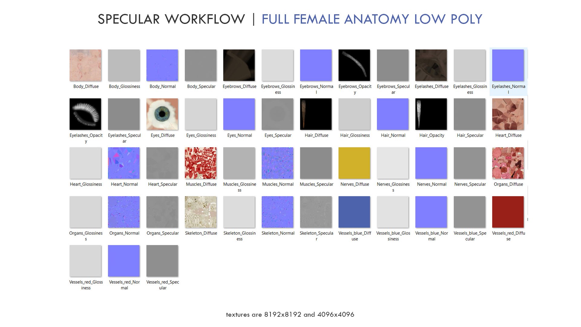 3D set male female anatomy https://p.turbosquid.com/ts-thumb/by/mB1ukj/s3iRrush/specular_workflow/jpg/1583845022/1920x1080/fit_q87/90c33f79c8c50b2f7457a68367e45159e8f2f4c7/specular_workflow.jpg