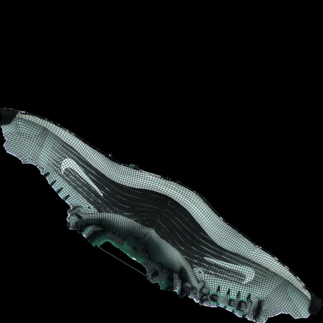 3D shoes pair https://p.turbosquid.com/ts-thumb/by/qQAX6f/ogakHDu3/uv/jpg/1570434775/1920x1080/fit_q87/f82e46f079e9ac35b83d1a006bab031294a833ee/uv.jpg