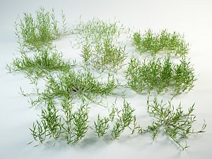 3D grass bushes model