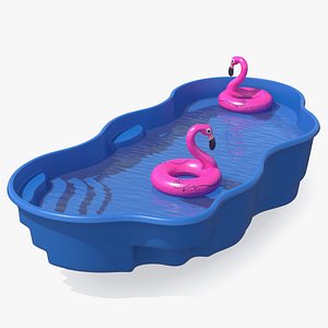 Pool and Inflatable Flamingo Swimming Ring