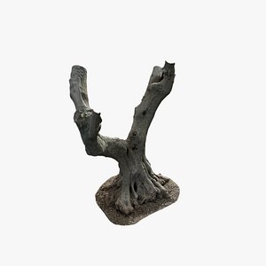 3D Anydrafts Olea europaea Trunk 11 model