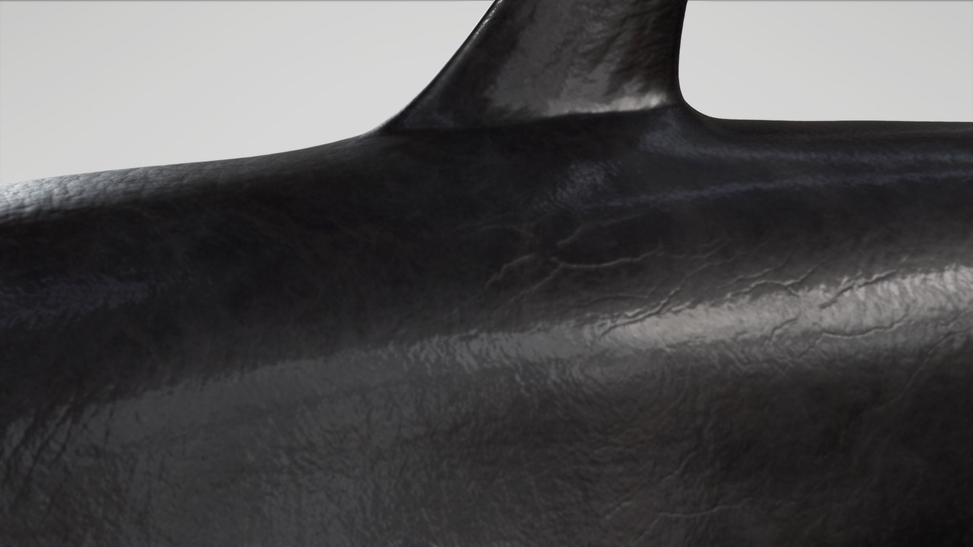 3D 4K False Killer Whale model https://p.turbosquid.com/ts-thumb/bz/5o9Ced/Cs/s13copy/jpg/1756908587/1920x1080/fit_q87/6809a3bb53ac6b3f7eeb11f882e24ac4c97df23d/s13copy.jpg