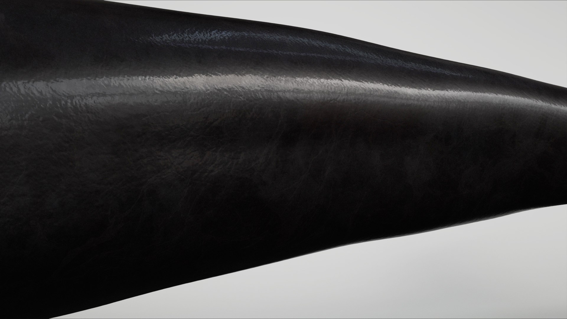 3D 4K False Killer Whale model https://p.turbosquid.com/ts-thumb/bz/5o9Ced/Dz/s15/jpg/1756908589/1920x1080/fit_q87/f945d0334a6e2acb1933eceb43249c84e5f95501/s15.jpg