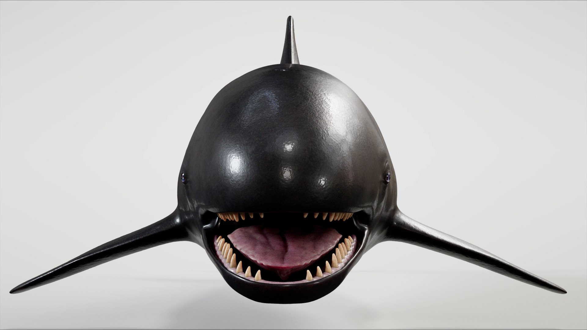 3D 4K False Killer Whale model https://p.turbosquid.com/ts-thumb/bz/5o9Ced/LR/s5/jpg/1756908583/1920x1080/fit_q87/12f172037d431121d0397a13ec259df4525c2cb8/s5.jpg