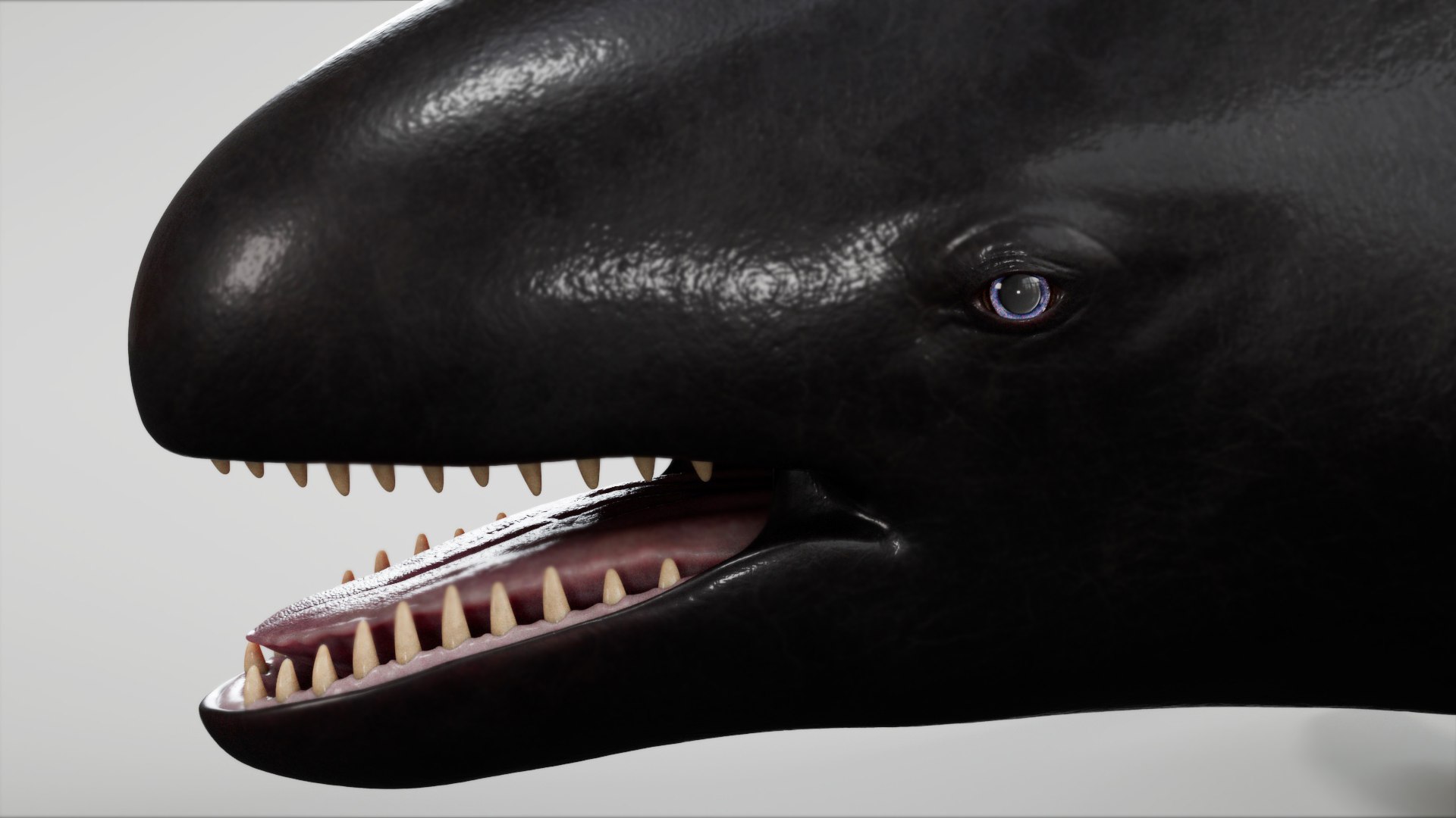 3D 4K False Killer Whale model https://p.turbosquid.com/ts-thumb/bz/5o9Ced/Nu/s21copy/jpg/1756908591/1920x1080/fit_q87/523bda5745097158896f369efea0cd4f75c77aeb/s21copy.jpg