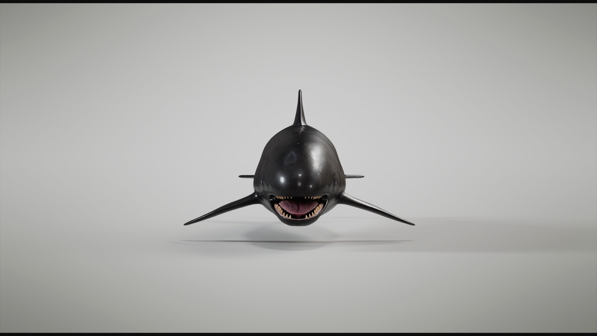 3D 4K False Killer Whale model https://p.turbosquid.com/ts-thumb/bz/5o9Ced/Pk/01/jpg/1756908732/1920x1080/turn_fit_q99/fb1e81fd7c0c4cdc085d73d31f422d5a6949a4ba/01-1.jpg