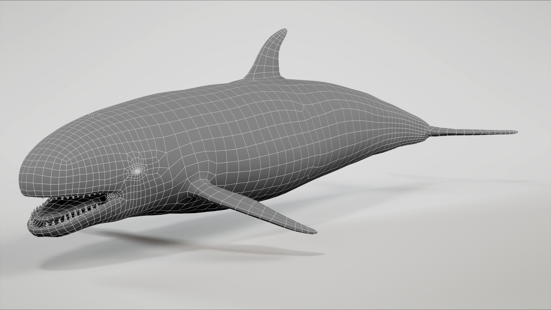 3D 4K False Killer Whale model https://p.turbosquid.com/ts-thumb/bz/5o9Ced/Zg/swf1/jpg/1756908580/1920x1080/fit_q87/551472b71b0d6a77e1c4bad913f091d6d34465f2/swf1.jpg